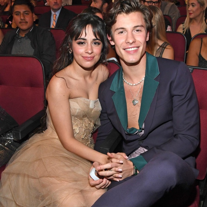 Shawn Mendes y Camila Cabello