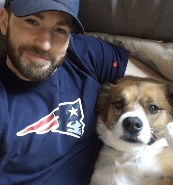Chris Evans y su perro