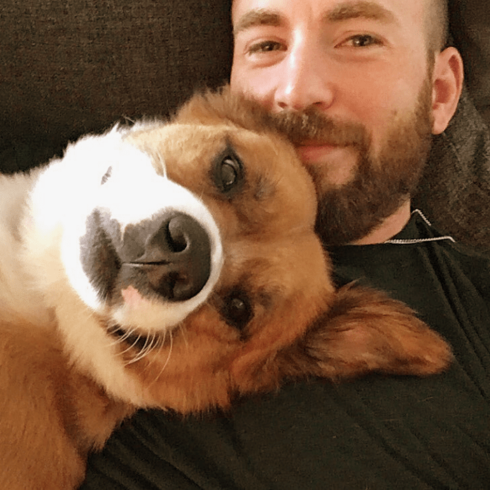 Chris Evans y su perrito Dodger