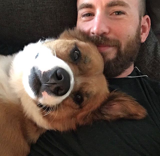 Chris Evans y su perro