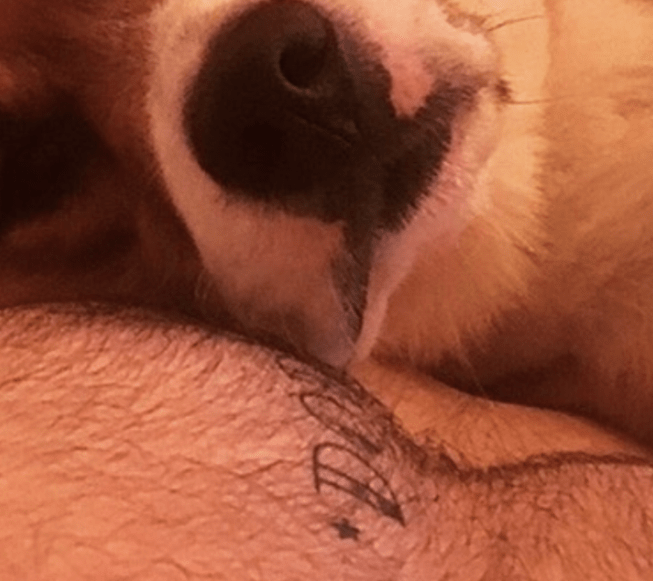Chris Evans y su perro