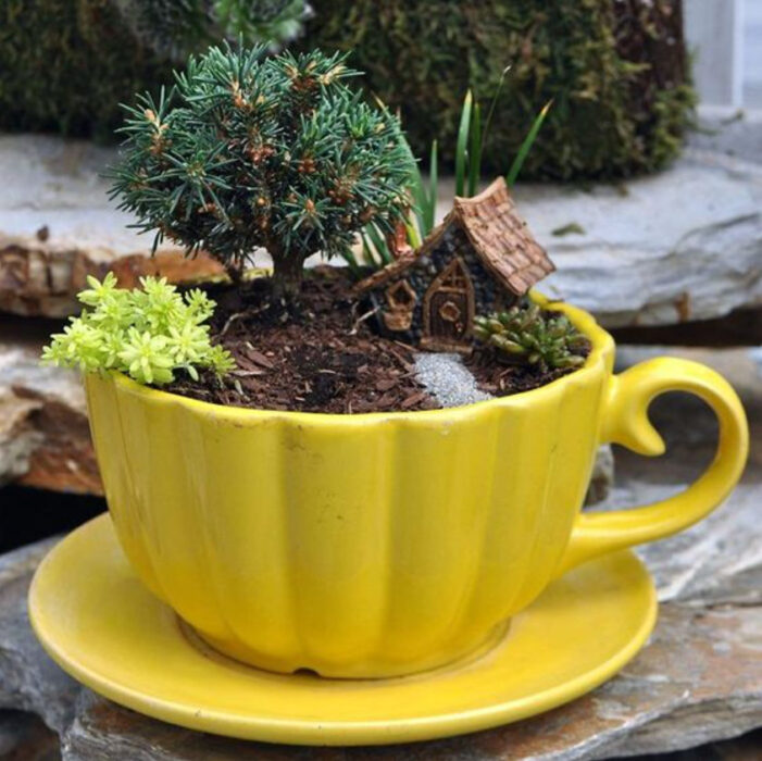 Mini jardín en taza amarilla con varias plantas y una casita de madera