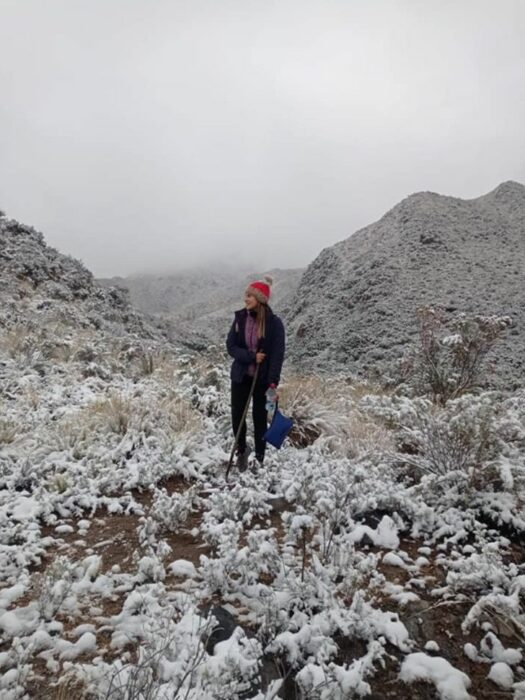 Chica paseando en un campo de nieve; Maestra recorre 20 km en burro y atraviesa campos de nieve para dar clases