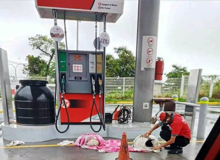 Joven en gasolinera arropa a perros callejeros