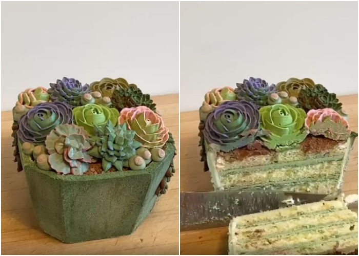 un pastel con forma de maceta con suculentas