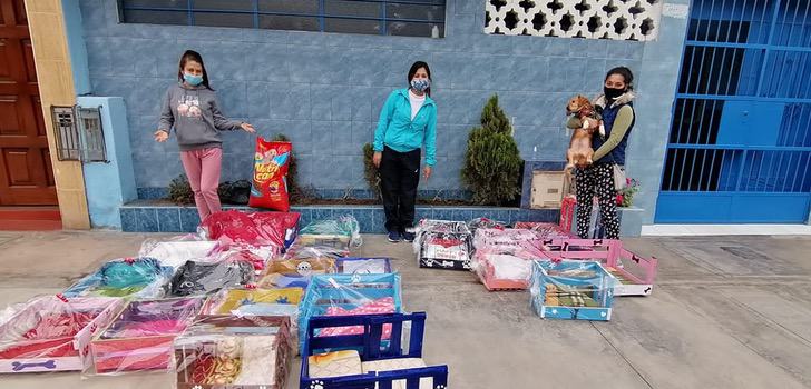 Niños fabrican camitas para perros y gatos de albergue