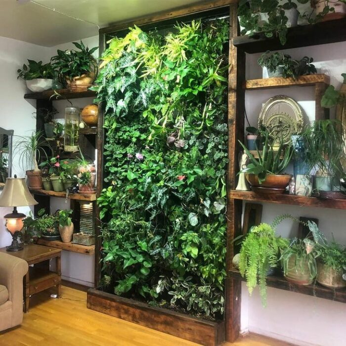 Pared blanca con estantes de madera que tienen macetas y un muro de plantas