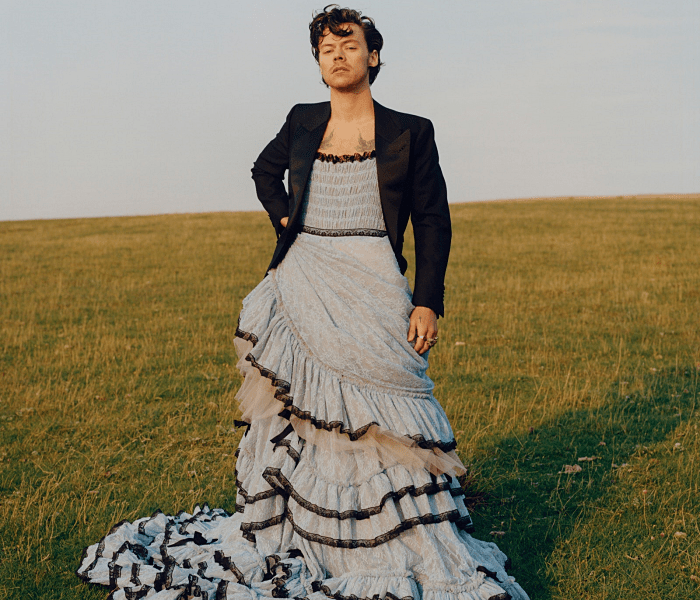 harry styles para vogue