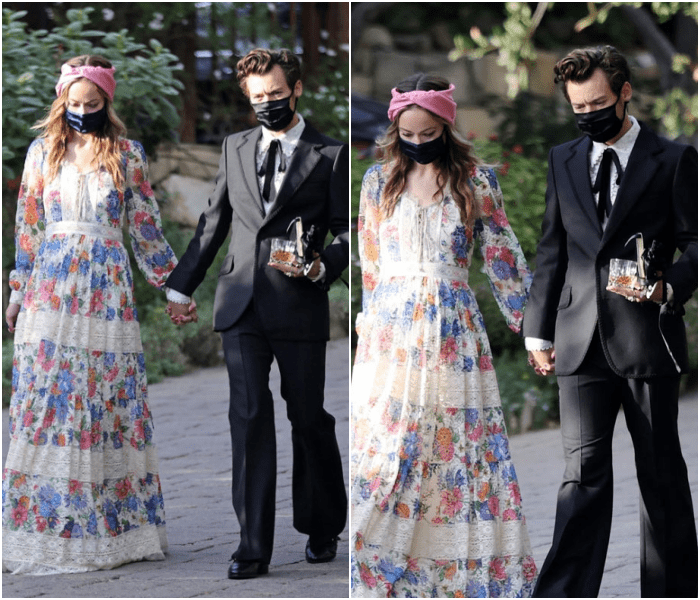 harry styles y olivia wilde