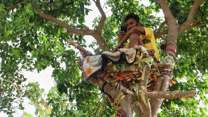Chico sobre un árbol; Joven se aísla 11 días en un árbol para no contagiar de covid-19 a su familia