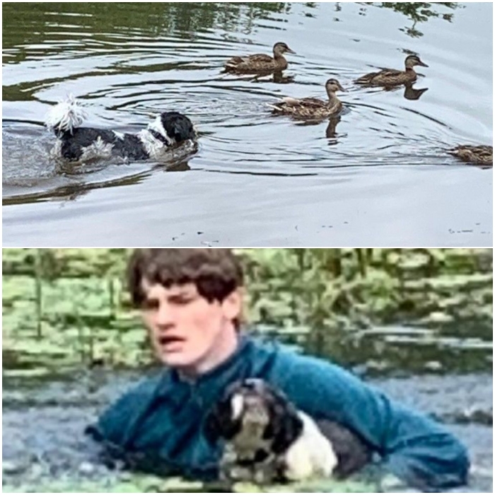 Connor Telfer, joven que salvó perrito