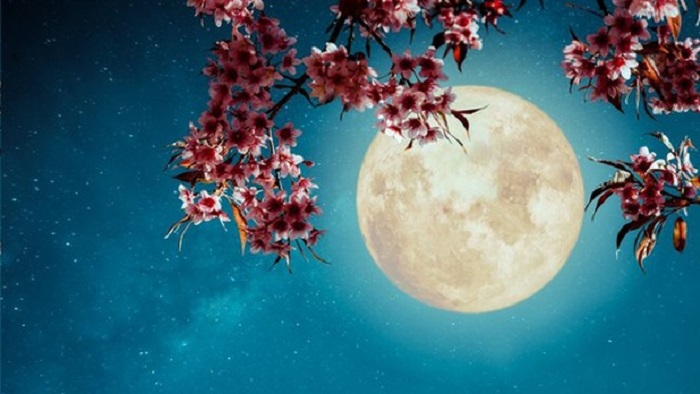 Luna de flores