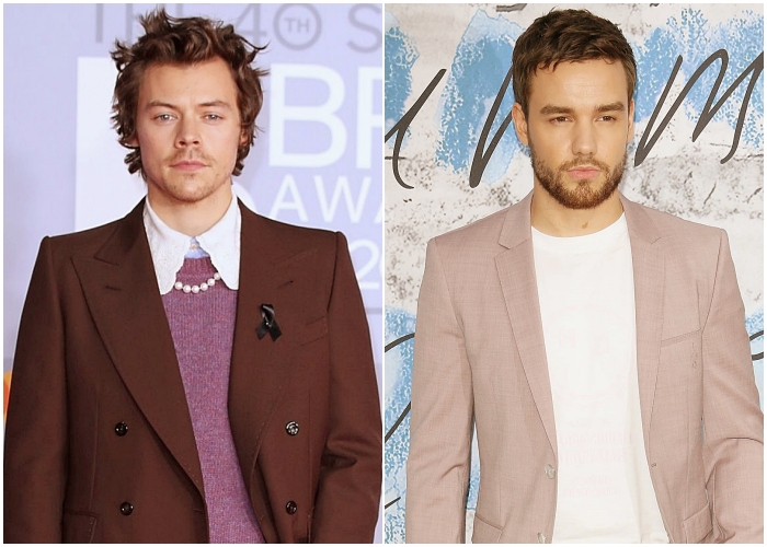 Harry Styles y Liam Payne