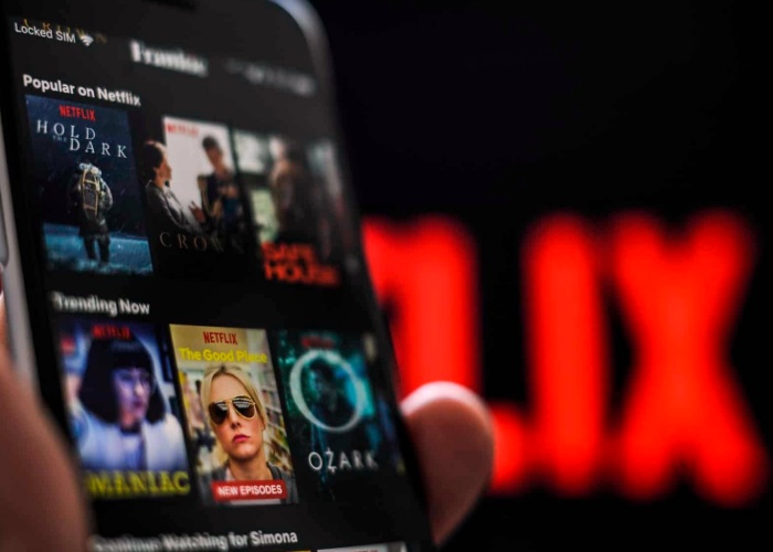 servicio de Netflix