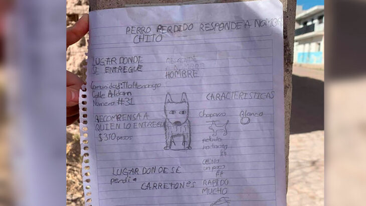 Cartel de búsqueda hecho a mano por un menor; Niño busca a su perro con dibujo porque no tiene fotos de él