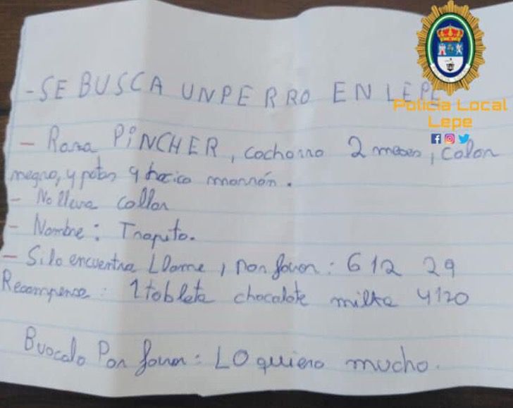 Carta de recompensa para encontrar a perrito extraviado; Niño perdió a su perrito y ofrece una barra de chocolate a quien lo encuentre