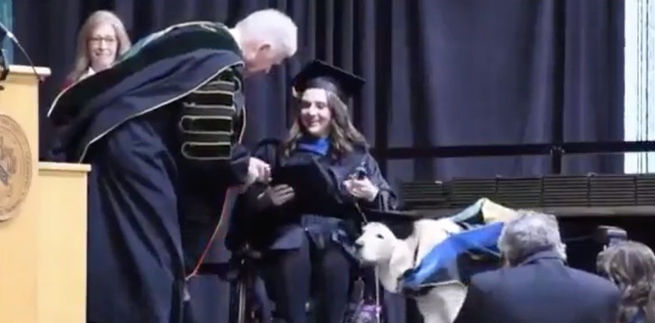 Chica recibiendo su título; Dedicado perro lazarillo fue premiado en graduación de su dueña con discapacidad