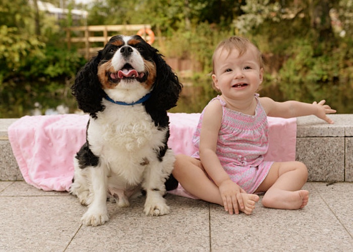 perrito Louie y pequeña Chloe Weeks