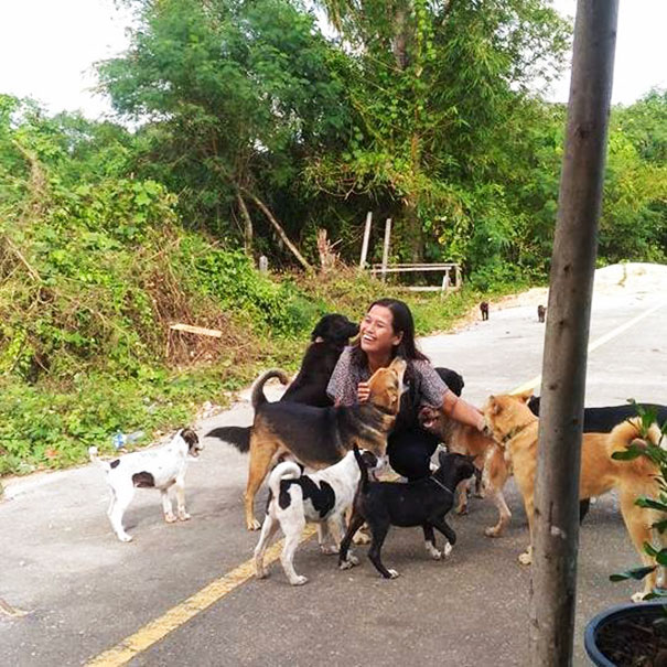 Mujer rodeada de perros callejeros