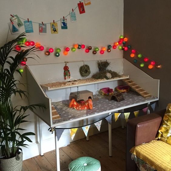 Terrario para erizo de dos plantas hecha con madera blanca y paredes de vidrio, acondicionado con aserrín y casitas de madera