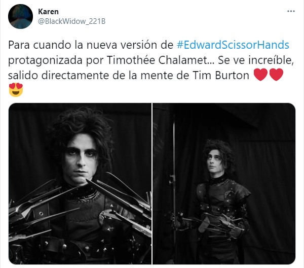 Tuit sobre Timothée Chalamet como el hijo de Edward Scissorhands; joven manos de tijera