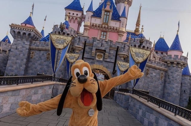 Perro Pluto en Disneyland