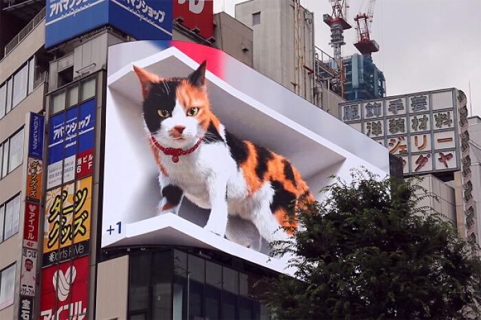 Valla publicitaria que muestra a un gato hiperrealista en 3D