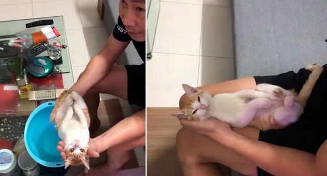 Abuelo vietnamita "baña" a gato